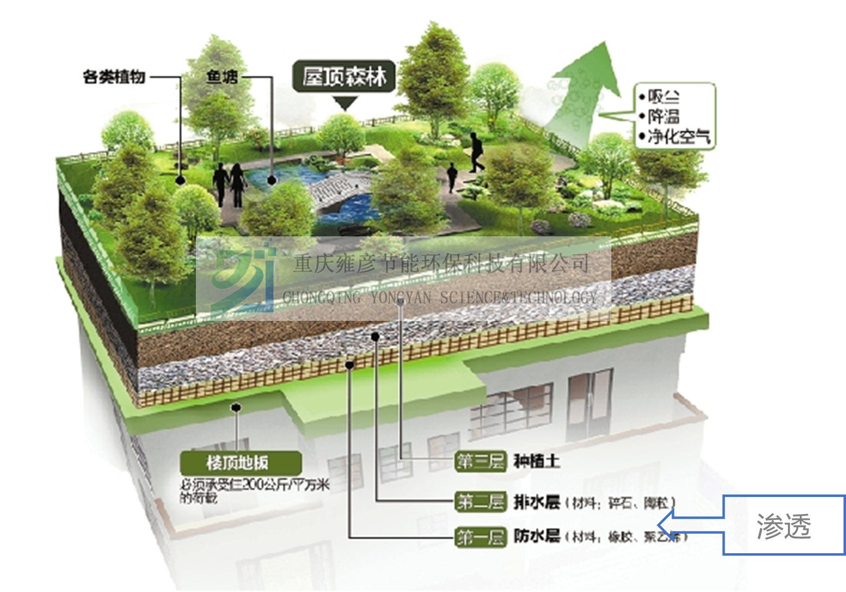 1612507842526752.png 技術路徑(滲) 水印.png